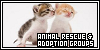 Animal Rescue & Adoption Groups: Saving a Billion Precious Lives at a Time
