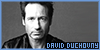 David Duchovny: The Last First Time