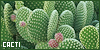 Cacti: Prickly Pals